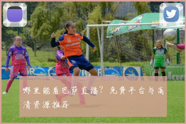哪里能看巴萨直播？免费平台与高清资源推荐
