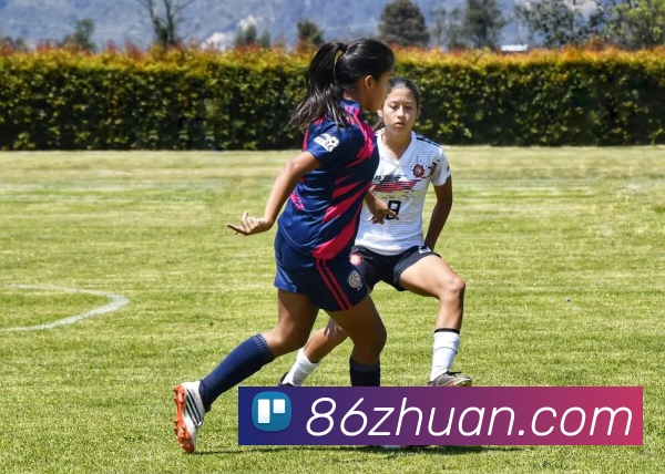 九游j9官网首页进入客服平台生态图